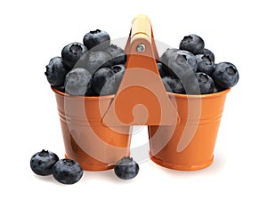 Berries of ripe blueberries in two orange buckets, and scattered in front of them, on a white background.