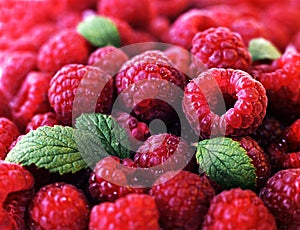 Berries of a ripe raspberry