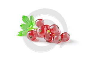 Berries of ripe tasty red currant isolated on white background.