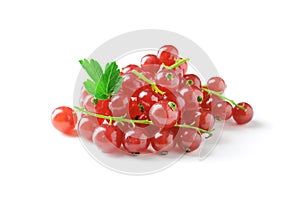 Berries of ripe tasty red currant isolated on white background. red currant with a leaf. a slide of red currants. Red currant berr