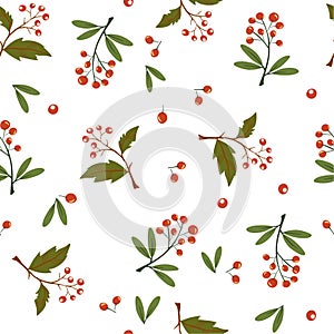 Berries seamless pattern. Autumn Background with rowan and rosehip berries. Design for poster, kitchen textiles, clothing and