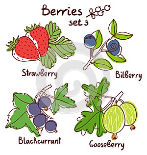 Berries set 3