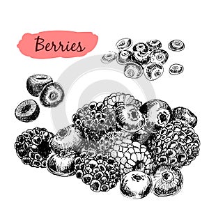 Berries. Set of illustrations