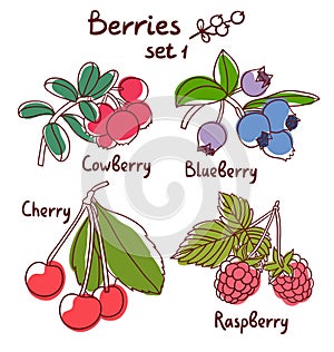 Berries set 1