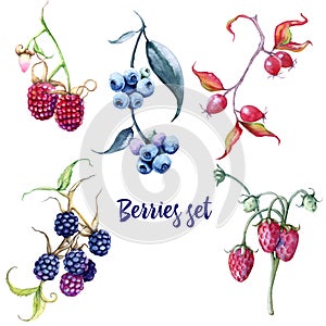 Berries set. Rosehips and blueberries blackberries strawberries raspberries gooseberries cherries.
