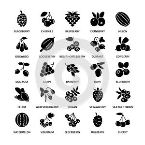 Berries silhouette vector icons set business analysis design elements berries fresh healthy products vegetables fruits