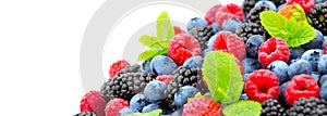 Berries. Various colorful berries background. Strawberry, raspberry, blackberry, blueberry closeup over white