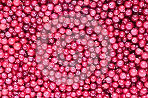 Berries of wild cranberries are scattered on surface.