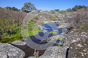 Berrocal of Rugidero, Extremadura, Spain photo