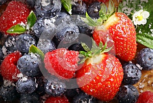 Berry background with water droplets
