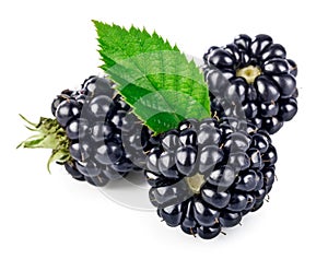 Berry blackberry with green leaf fresh fruit