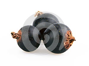 Berry of blackcurrant