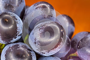 Berry blue wine grapes on a red saucer