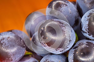 Berry blue wine grapes on a red saucer