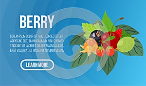 Berry concept banner, isometric style