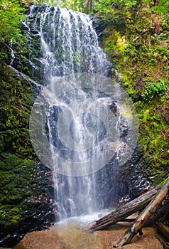 BERRY CREEK FALLS