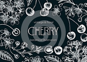 Berry fruit background. Cherry berries, leaves, flowers sketches on chalkboard. Cherry blossom hand-drawn vector illustration.