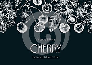 Berry fruit background. Cherry berries, leaves, flowers sketches on chalkboard. Cherry blossom hand-drawn vector illustration.