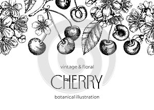 Berry fruit background. Cherry berries, leaves, flowers sketches. Cherry blossom hand-drawn vector illustration. Floral frame