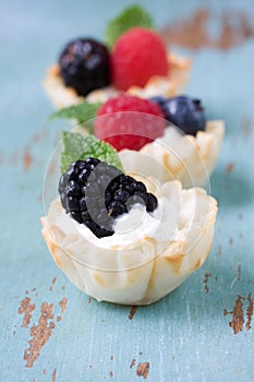 Berry Fruit dessert