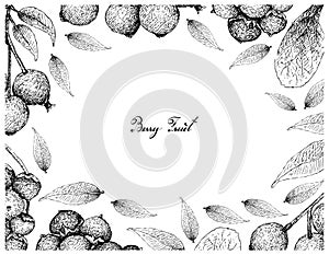 Berry Fruit, Illustration Frame of Hand Drawn Sketch of Jostaberries and Magenta Lilly Pilly, Magenta Cherry or Syzygium photo