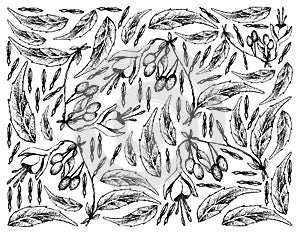 Hand Drawn Background of Brinco de Princesa Frutis photo