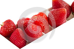 Berry fruits