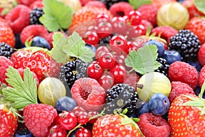 Berry fruits berries collection strawberries, blueberries raspbe