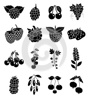 Berry fruits icons set