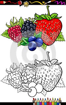 Berry fruits illustration for coloring book