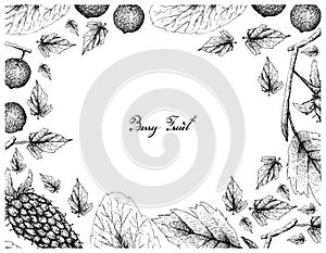 Berry Fruits, Illustration Frame of Hand Drawn Sketch Delicious Fresh Loganberries and Madagascar Plums or Flacourtia Indica