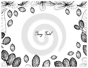 Berry Fruits, Illustration Frame of Hand Drawn Sketch Jambolan, Java Plum, Black Plum or Syzygium Cumini and Japanese Barberies or