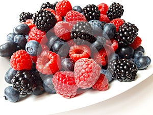 Berry fruits on white background photo