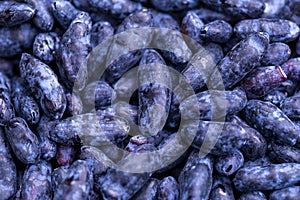 Berry honeysuckle close-up.texture of a honeysuckle berry