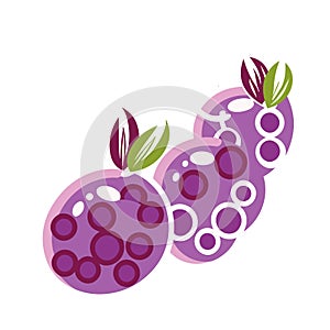 berry icon vector