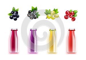 Berry Juice Realistic Set