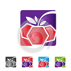 berry with leaf in square shape app