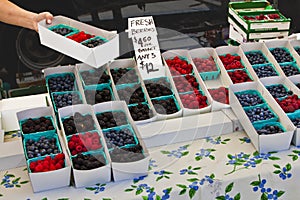 Berry Market photo