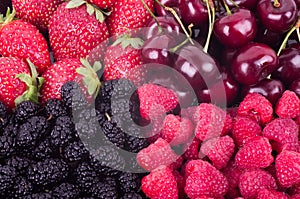 Berry Mix background