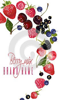 Berry mix falling banner