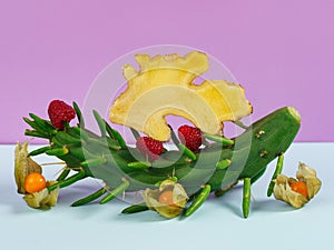 Berry still life with ginger on a cactus prickly pear subulata photo