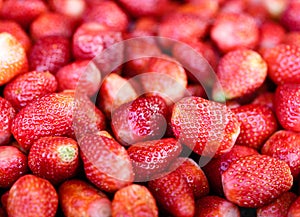 Berry strawberry in the market