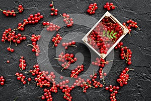 Berry theme. Red currant on black table background top view