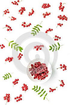 Berry theme. Red currant and leaves on white background top view