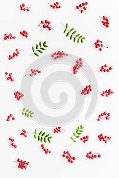 Berry theme. Red currant and leaves on white background top view copyspace