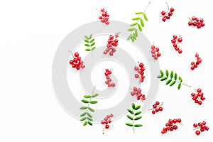 Berry theme. Red currant and leaves on white background top view copyspace