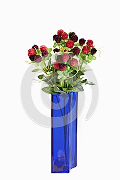 Berry on white background