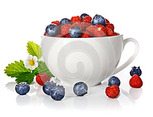 Berry wild strawberry and blueberry in cup