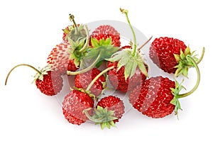 Berry wild strawberry with green leaves handful fresh strawberries