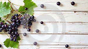 Berrylicious: A Crisp Black Grape Branch on a White Wooden Background - A Healthy Delight for Your T